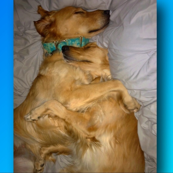 Smoke free/Pet friendly💛 - Picture 12 of 16